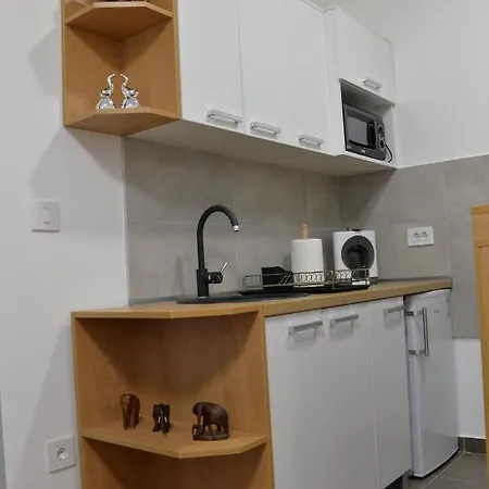 Pupin Palata Business B5 Apartamento Novi Sad