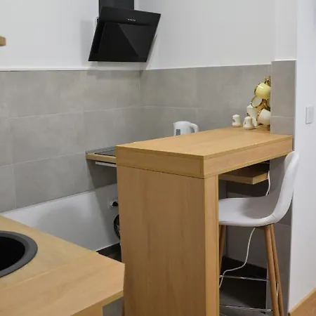 アパート Pupin Palata Business B5 *